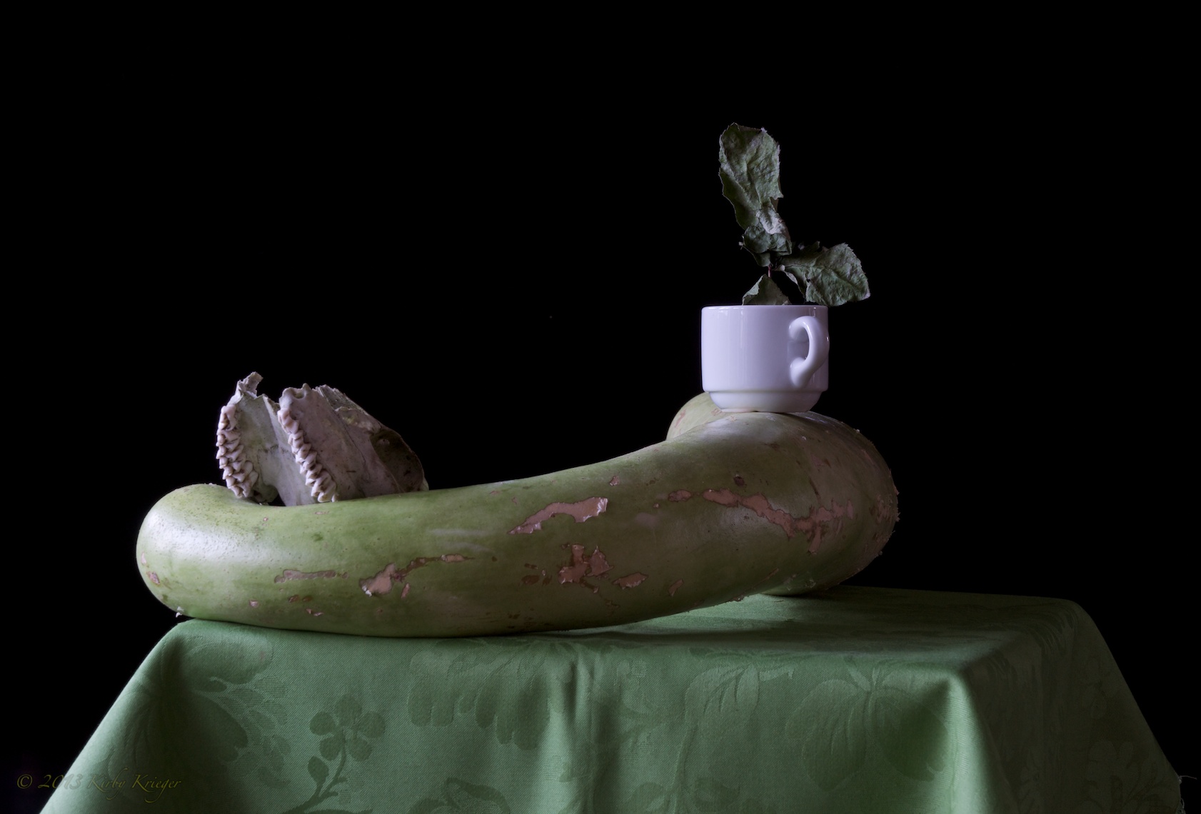 13 of 49_KirbyKriegerStillLife_2013-10-18.jpg