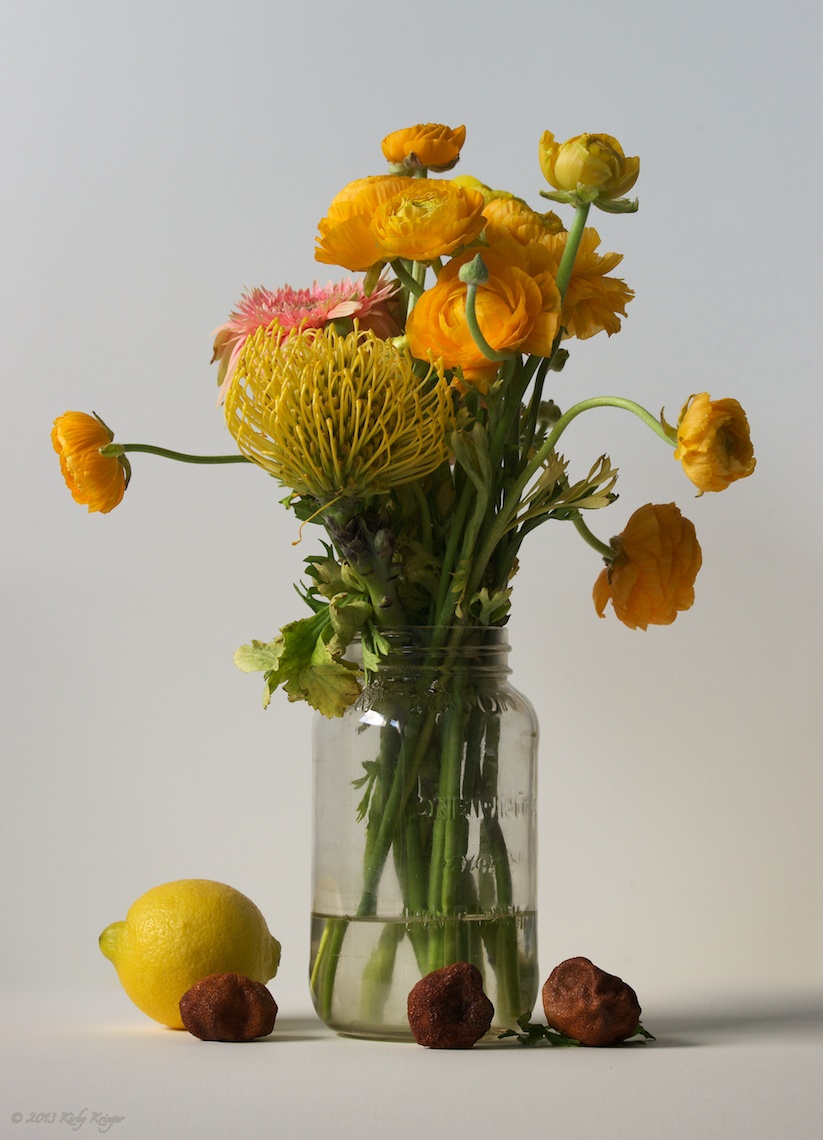 14 of 49_KirbyKriegerStillLife_2011-04-16.jpg