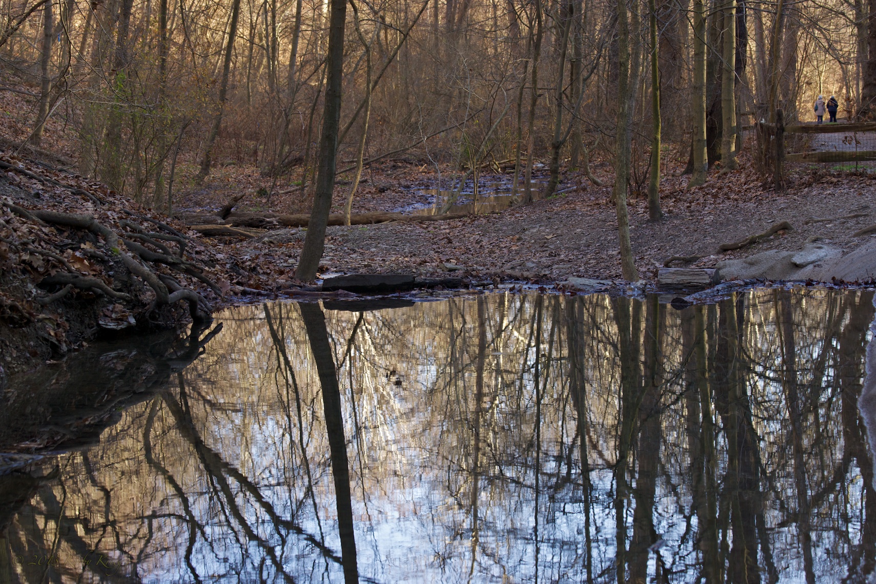 194_2011-12-11_FrickParkWaBu_Pittsburgh_25 of 47_DSC06838.jpg