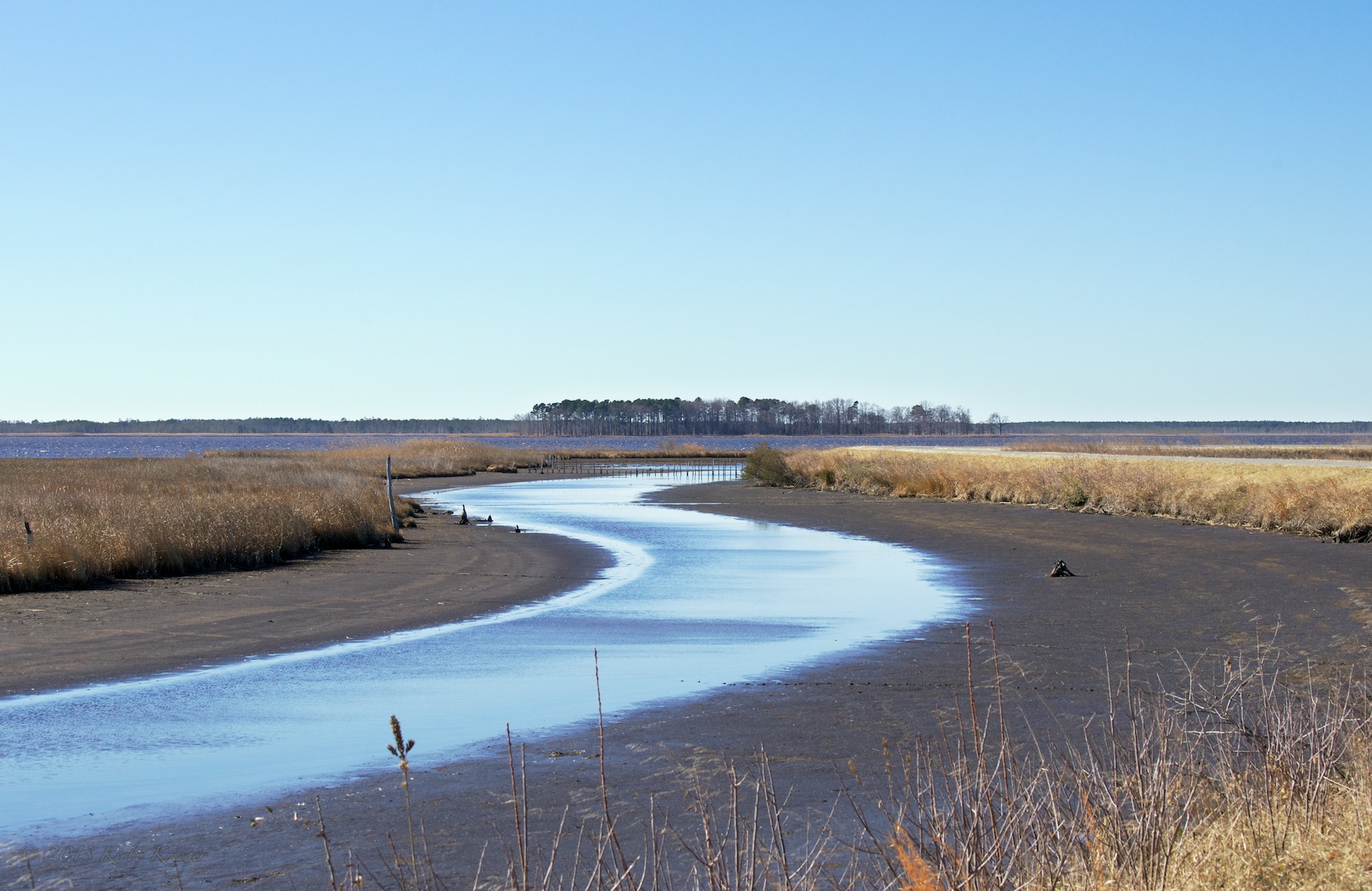 200_2011-02-19_MorningWindy_Blackwater_63 of 84_DSC05772.jpg