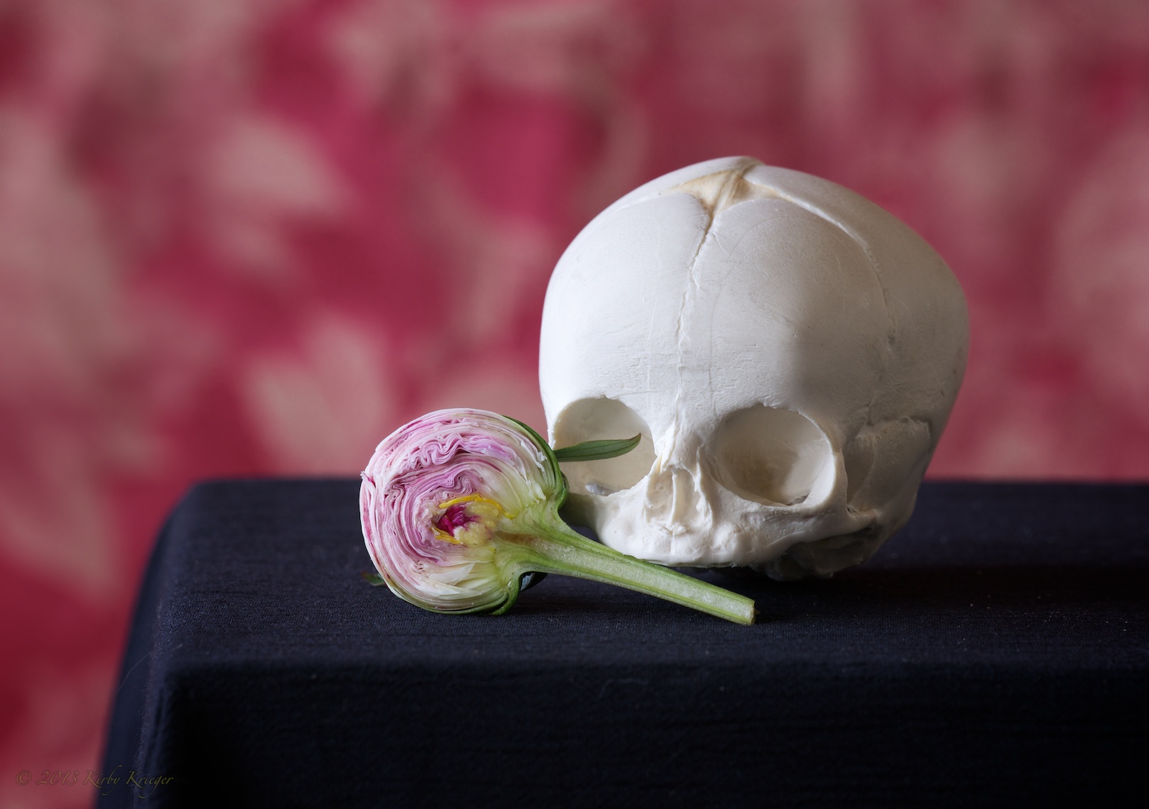 41 of 49_KirbyKriegerStillLife_2010-11-30.jpg